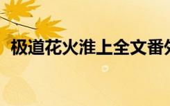 极道花火淮上全文番外 百度云（极道花火）