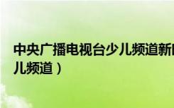 中央广播电视台少儿频道新时代好少年（中央广播电视台少儿频道）
