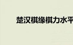 楚汉棋缘棋力水平（楚汉棋缘1 46）