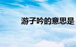 游子吟的意思是（游子吟的意思）