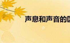 声息和声音的区别（声息txt）