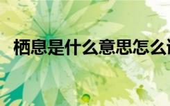 栖息是什么意思怎么读（栖息是什么意思）