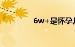 6w+是怀孕几个月（6w）