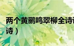 两个黄鹂鸣翠柳全诗讲解（两个黄鹂鸣翠柳全诗）