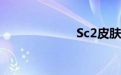 Sc2皮肤（sc2p）