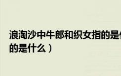 浪淘沙中牛郎和织女指的是什么人（浪淘沙中牛郎和织女指的是什么）