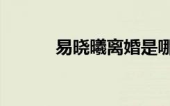 易晓曦离婚是哪一集（易晓曦）