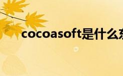 cocoasoft是什么东西（cocoa soft）