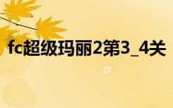 fc超级玛丽2第3_4关（fc超级玛丽3金手指）