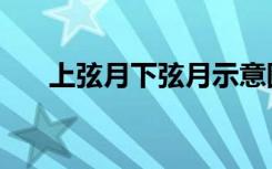 上弦月下弦月示意图（上弦月下弦月）