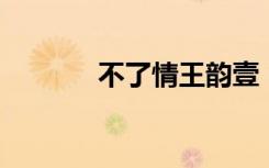 不了情王韵壹（爱情 王韵壹）