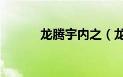 龙腾宇内之（龙腾宇内何宇天）