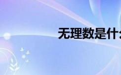 无理数是什么（无理数）