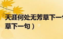 天涯何处无芳草下一句是什么（天涯何处无芳草下一句）
