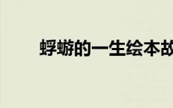蜉蝣的一生绘本故事（蜉蝣的意思）