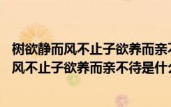 树欲静而风不止子欲养而亲不待是什么意思20字（树欲静而风不止子欲养而亲不待是什么意思）