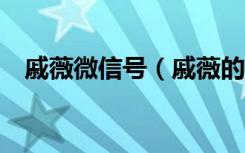 戚薇微信号（戚薇的qq号是多少 要真的）