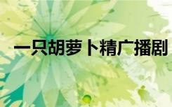 一只胡萝卜精广播剧（娇羞胡萝卜广播剧）