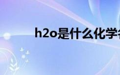 h2o是什么化学名（h2o是什么）