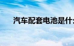 汽车配套电池是什么意思（汽车配套）