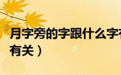月字旁的字跟什么字有关（月字旁的字跟什么有关）