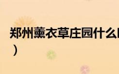 郑州薰衣草庄园什么时候开（郑州薰衣草庄园）