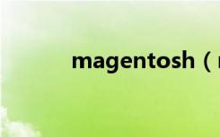 magentosh（magento空间）