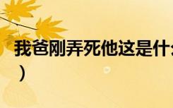 我爸刚弄死他这是什么歌（我爸刚弄死他歌词）
