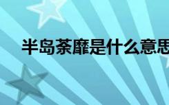 半岛荼靡是什么意思（荼蘼是什么意思）