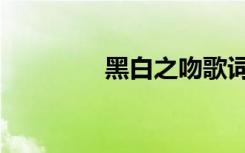 黑白之吻歌词（黑白之吻）