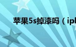 苹果5s掉漆吗（iphone5白色掉漆吗）