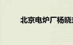 北京电炉厂杨晓东（北京电炉厂）