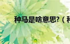 种马是啥意思?（种马男是什么意思）