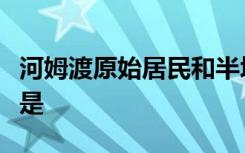 河姆渡原始居民和半坡原始居民生活的共同点是