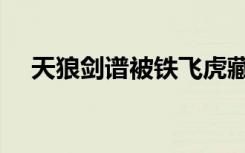 天狼剑谱被铁飞虎藏在哪里（天狼剑谱）