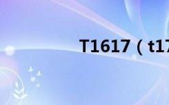 T1617（t17 1 586 52）