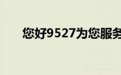 您好9527为您服务（9527为你服务）