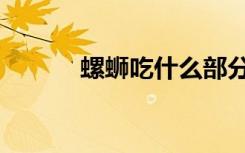 螺蛳吃什么部分（螺蛳吃什么）