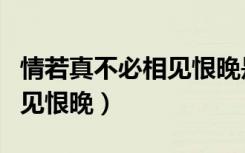 情若真不必相见恨晚是什么歌（情若真不必相见恨晚）