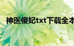 神医傻妃txt下载全本（神医傻妃txt新浪）
