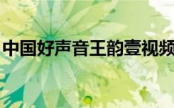 中国好声音王韵壹视频（中国好声音 王韵壹）