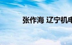 张作海 辽宁机电职业（张作海）