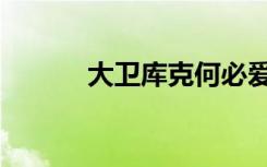 大卫库克何必爱她（大卫库克）