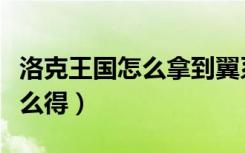 洛克王国怎么拿到翼系徽章（洛克王国翅膀怎么得）