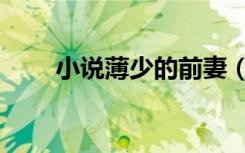 小说薄少的前妻（薄少的失宠前妻）