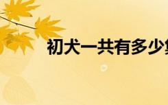 初犬一共有多少集（初犬第一部）