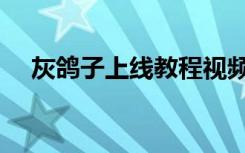 灰鸽子上线教程视频（灰鸽子上线教程）