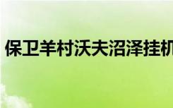保卫羊村沃夫沼泽挂机（保卫羊村沃夫沼泽）