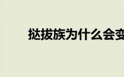 挞拔族为什么会变成兔子（挞拔族）