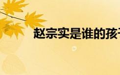 赵宗实是谁的孩子（赵宗实是谁）